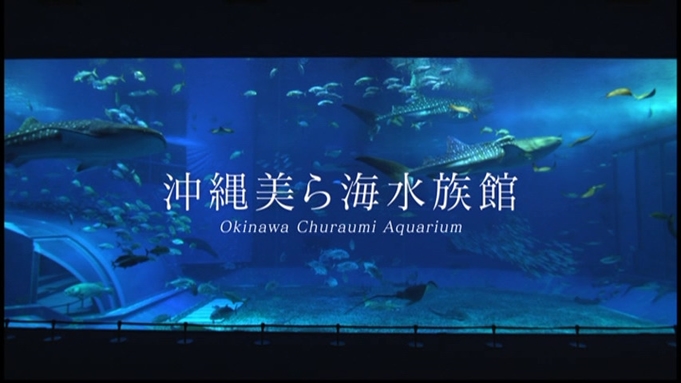 【美ら海水族館チケット付】みんなと一緒に沖縄に来たら一度は行きたい人気の水族館へ！